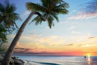 VinOasis Resort Phú Quốc 